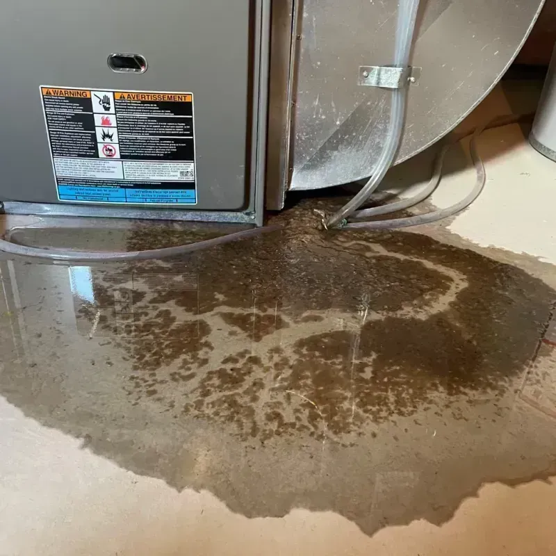 Appliance Leak Cleanup in Lancaster, KY